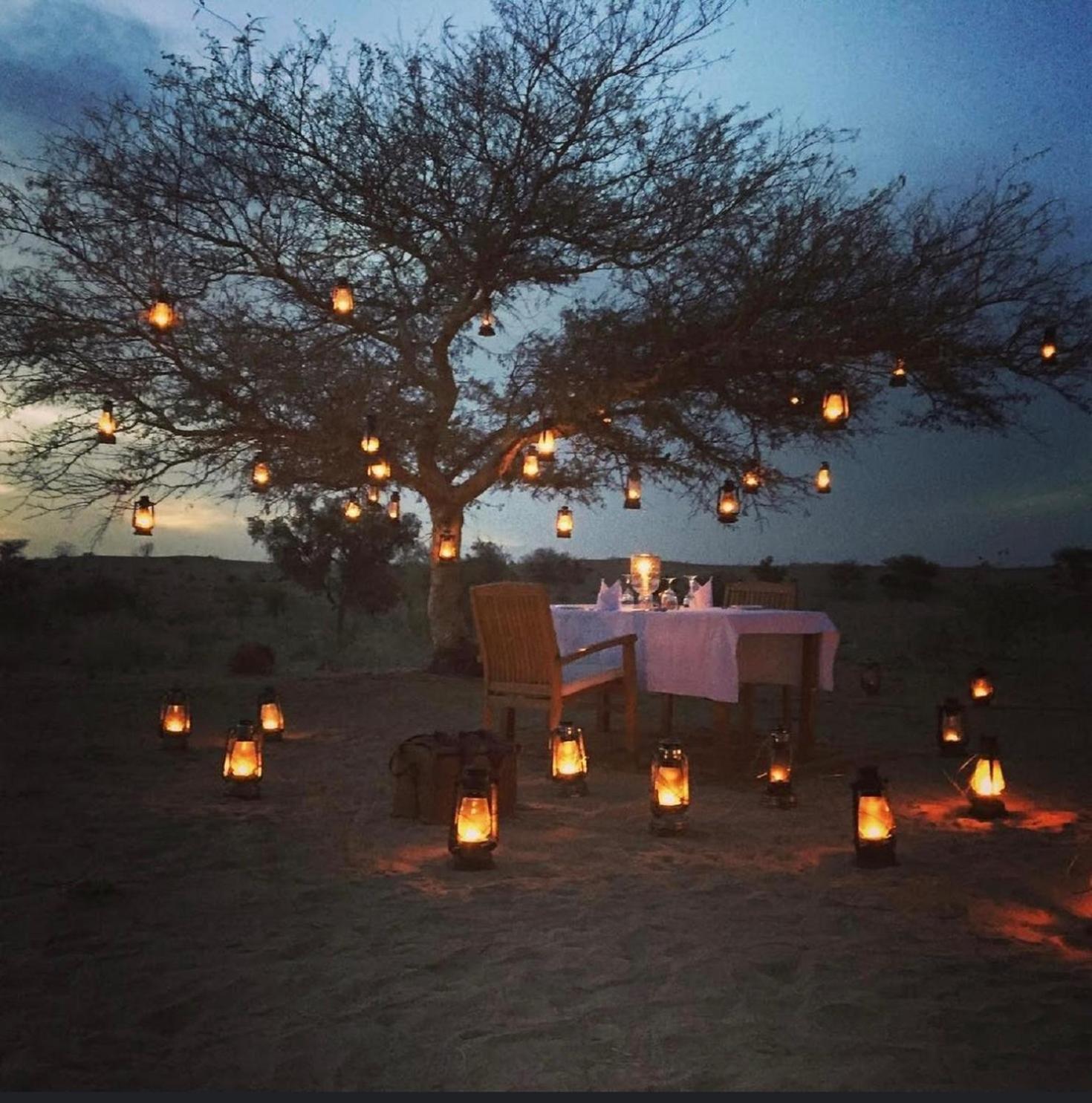 Wild Heritage Resort & Camp Jaisalmer Exterior foto